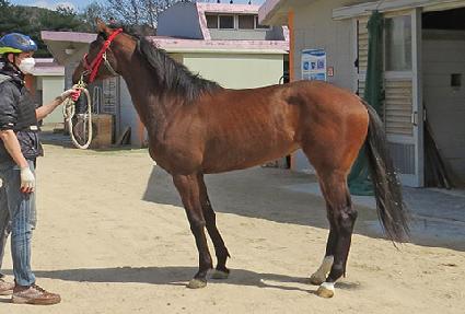 ���ǹ��� ����