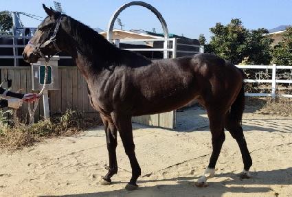 ���ع̼� ����