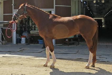 ���̿����ŷ ����