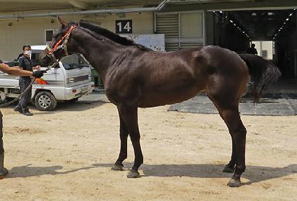 �׸����� ����