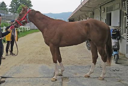 ����Ǯ���� ����