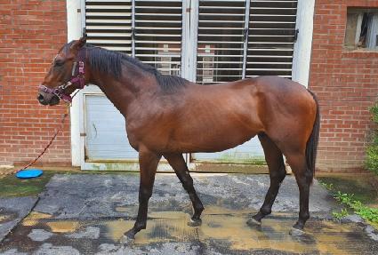 ���Ŀ� ����