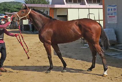 �����Ʈ���� ����