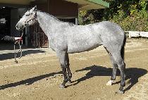 ĥ��뱳 (CHILSAN DAEGYO) ����