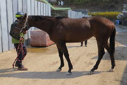 ��ȥ��� ����