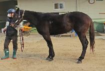 �����̼� (JAGEUN MISO) ����