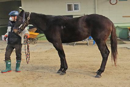 �����̼� ����