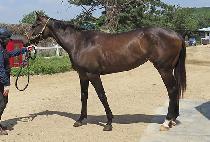 ����Ǯ��ũ (WONDERFUL WEEK) ����