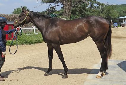 ����Ǯ��ũ ����