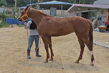 �Ƹ��ٷο��� ����