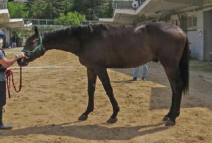 ����ǮƼ�� ����