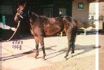 ��쵿 (EU WOO DONG) ����