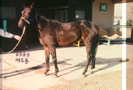 ��쵿 ����