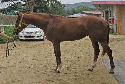 ���࿭�� ����