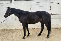 ���̿��̽�Ÿ (HIGHWAY STAR) ����