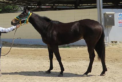 �帲��ī�� ����