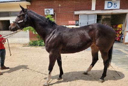 �¾����� ����