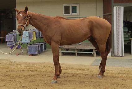 ��Ÿ���� ����