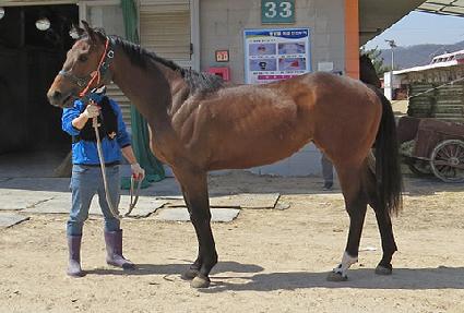 �������� ����