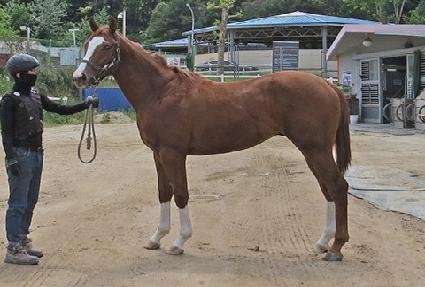 �̽�Ʈ�ε� ����