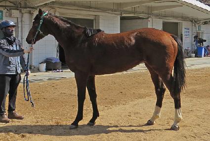 �׸��ں� ����