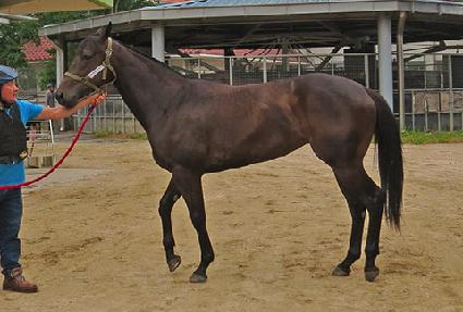 �Ǵн�Ŭ���� ����