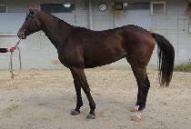 ������Ʈ (NEW POINT) ����