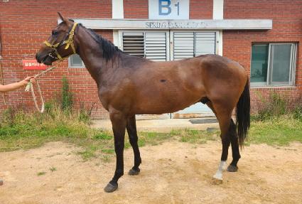 ��Ƽ��Ʈ ����