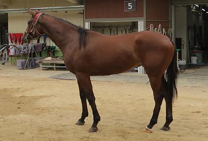 �������� ����