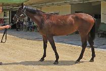 ������� (EUNSEONG SARANG) ����