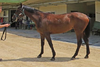 ������� ����