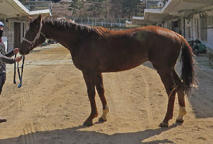 ��ī�� ����