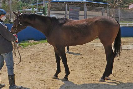 ��Ÿ�����̵� ����