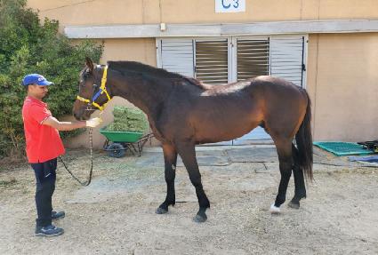 ȭ�� ����