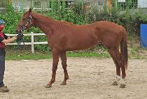 ��꽺�� (JANGSAN SPO) ����