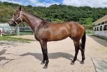 �극����Ʈ (BREAD HIT) ����