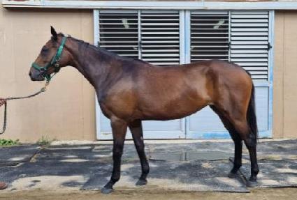 �ϸ� ����