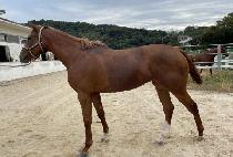 �������� (DONGNAM WINNER) ����