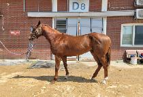 ��Ŀ��Ʈ (NEW CONNECT) ����