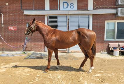 ��Ŀ��Ʈ ����