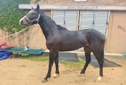 �к淯������ ����