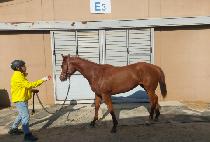 ���庣��ƮĹ (WORLD BEST CAT) ����