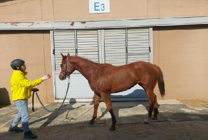 ���庣��ƮĹ ����