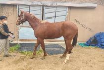 ��������Ʈ (WORLD POINT) ����