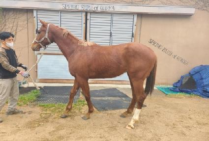 ��������Ʈ ����