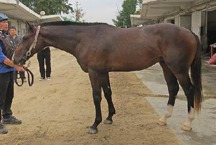 Ȧ����Ÿ ����