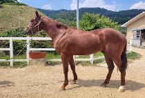 �����̻� (SANGSANGGEUISANG) ����