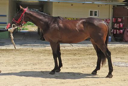 �������� ����