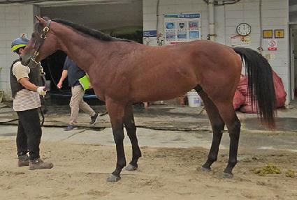 ���̺��� ����