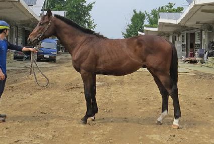 ������ ����